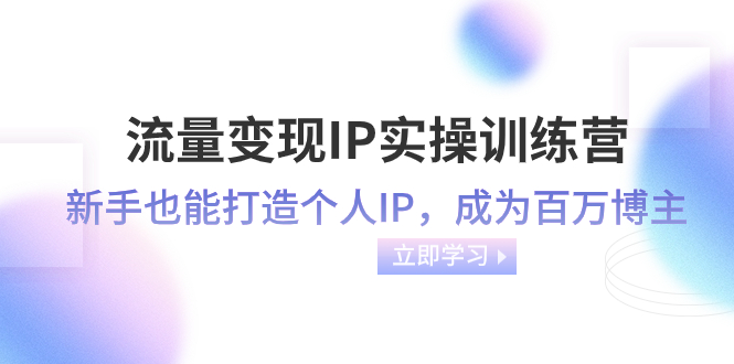 流量变现-IP实操训练营：新手也能打造个人IP，成为百万 博主（46节课）-创业项目网