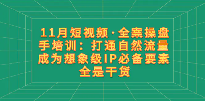 11月短视频·全案操盘手培训：打通自然流量 成为想象级IP必备要素 全是干货-创业项目网