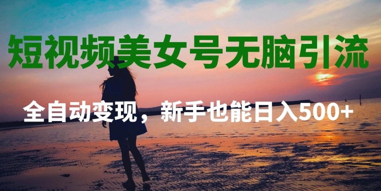 短视频美女号无脑引流，全自动变现，新手也能日入500+-创业项目网