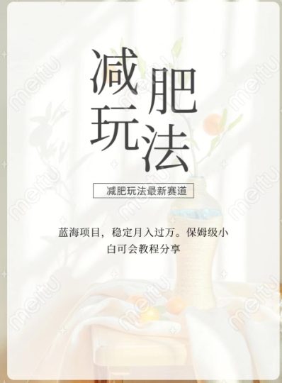 减肥流量主新玩法,轻松月入1W,可矩阵操作收入翻倍-创业项目网