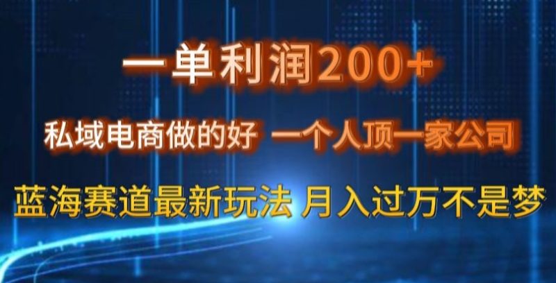 一单利润200私域电商做的好,一个人顶一家公司蓝海赛道最新玩法-创业项目网