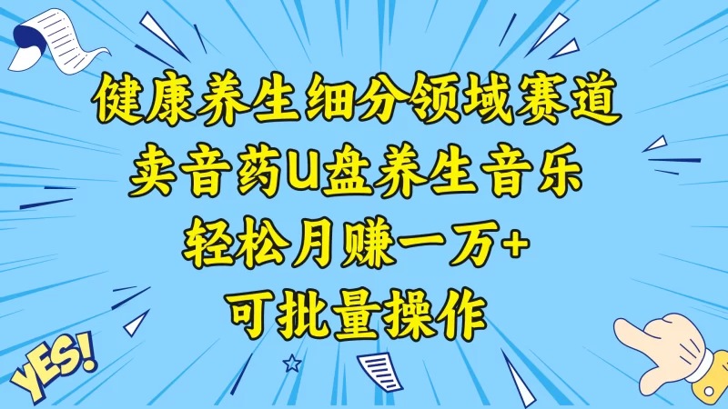 健康养生细分领域赛道,卖音药U盘养生音乐,轻松月赚一万+,可批量操作-创业项目网