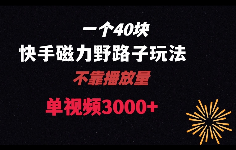 一个40块，快手联合美团磁力新玩法，无视机制野路子玩法，单视频收益4位数-创业项目网