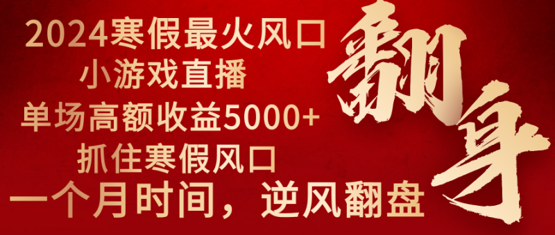 2024年最火寒假风口项目 小游戏直播 单场收益5000+抓住风口 一个月直接提车-创业项目网