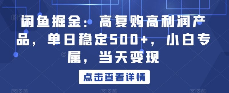 闲鱼掘金:高复购高利润产品,单日稳定500+,小白专属,当天变现-创业项目网