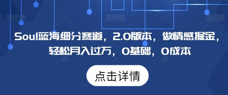 Soul蓝海细分赛道,2.0版本,做情感掘金,轻松月入过万,0基础,0成本-创业项目网