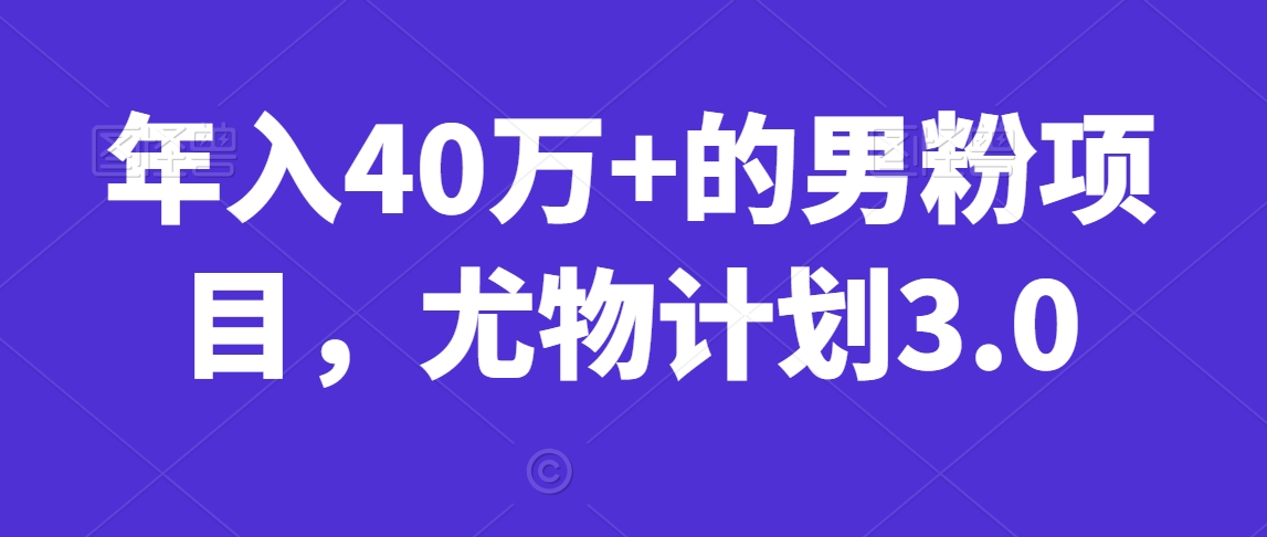 年入40万+的男粉项目，尤物计划3.0-创业项目网