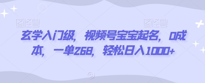 玄学入门级,视频号宝宝起名,0成本,一单268,轻松日入1000+-创业项目网