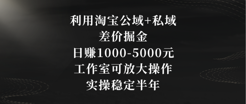 利用淘宝公域+私域差价掘金,日赚1000-5000元,工作室可放大操作,实操稳定半年-创业项目网