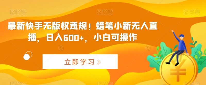 最新快手无版权违规!蜡笔小新无人直播,日入600+,小白可操作-创业项目网