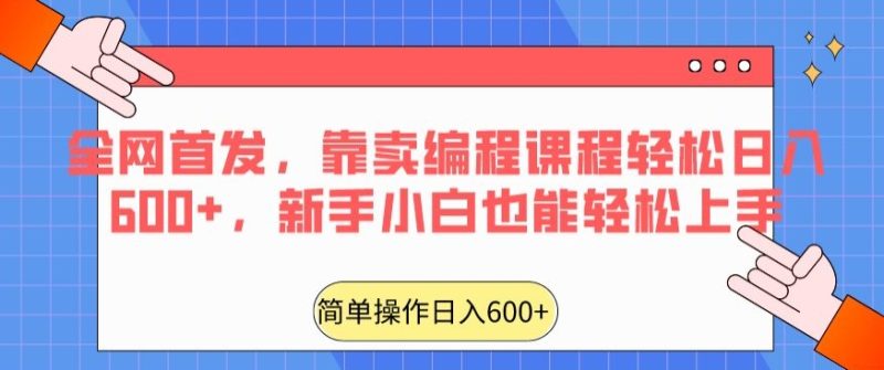 全网首发,靠卖编程课程轻松日入600+,新手小白也能轻松上手-创业项目网