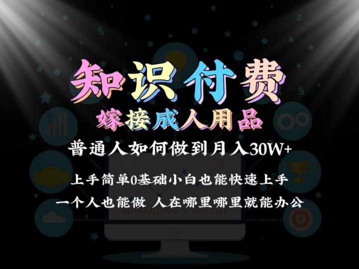 2024普通人做知识付费结合成人用品,如何实现单月变现30w,保姆教学1.0-创业项目网