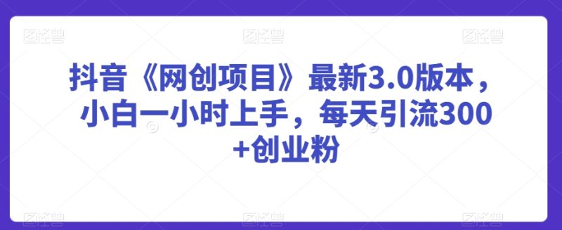 抖音《网创项目》最新3.0版本,小白一小时上手,每天引流300+创业粉-创业项目网