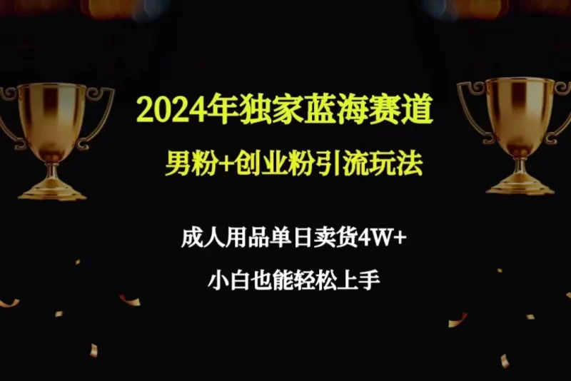 2024年独家蓝海赛道男粉+创业粉引流玩法,成人用品单日卖货4W+保姆教程-创业项目网