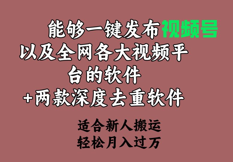 能够一键发布视频号以及全网各大视频平台的软件+两款深度去重软件 适合新人搬运 月入过万-创业项目网