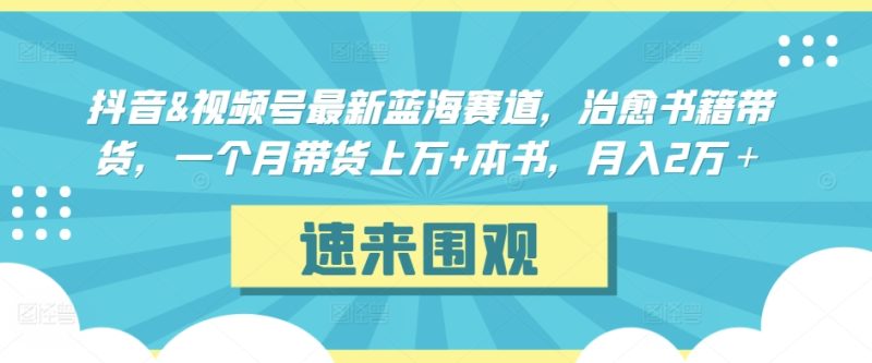抖音&视频号最新蓝海赛道,治愈书籍带货,一个月带货上万+本书,月入2万+-创业项目网