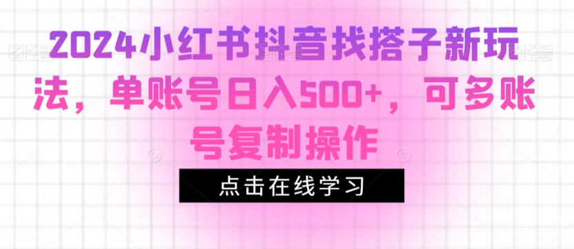 2024小红书抖音找搭子新玩法，单账号日入500+，可多账号复制操作-创业项目网