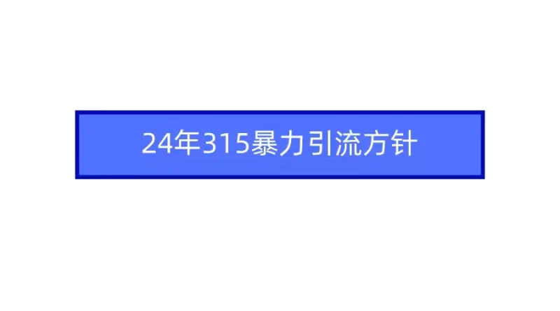 2024年315暴力引流方针-创业项目网