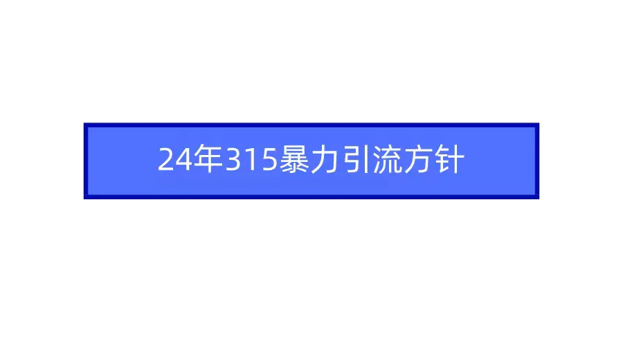2024年315暴力引流方针-创业项目网