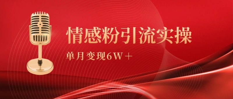 单月变现6w+,情感粉引流变现实操课-创业项目网
