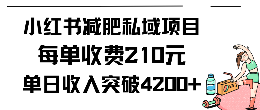 小红书减肥私域项目每单收费210元单日成交20单，最高日入4200+-创业项目网