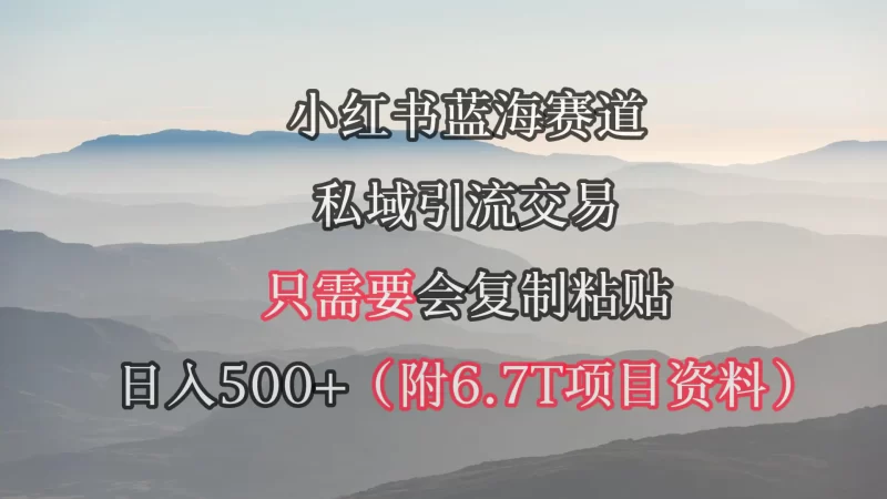 小红书短剧赛道，私域引流交易，会复制粘贴，日入500+（附6.7T短剧资源）-创业项目网