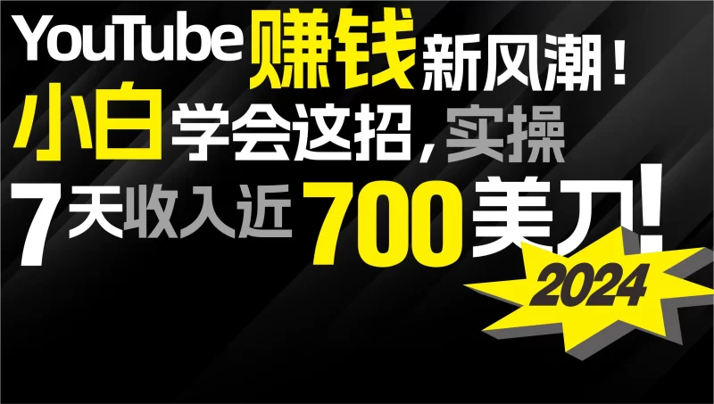 2024 YouTube赚钱新风潮!小白学会这招,7天收入近7百美金!-创业项目网