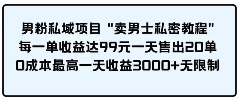 男粉私域项目 “卖男士私密教程” 每一单收益达99元一天售出20单-创业项目网