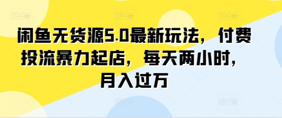 闲鱼无货源5.0最新玩法，付费投流暴力起店，每天两小时，月入过万!-创业项目网