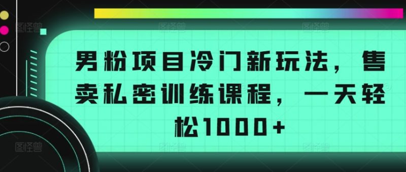 男粉项目冷门新玩法,售卖私密训练课程,一天轻松1000+-创业项目网