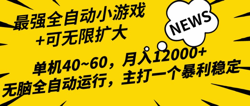 2024最新全网独家小游戏全自动，单机40~60,稳定躺赚，小白都能月入过万-创业项目网