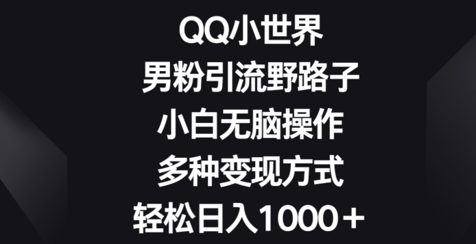 QQ小世界男粉引流野路子，小白无脑操作，多种变现方式轻松日入1000+-创业项目网