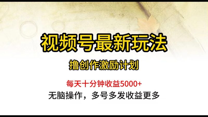 视频号最新玩法，每日一小时月入5000+-创业项目网