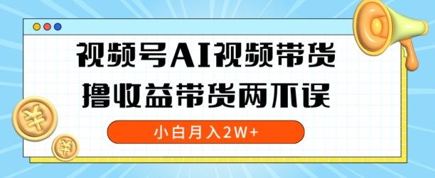 视频号AI视频带货，全程解放双手，撸收益带货两不误，小白月入2W+-创业项目网