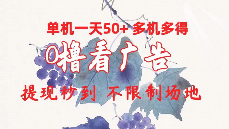0撸看广告 单机一天50+多机多得 提现秒到 不限制场地操作-创业项目网