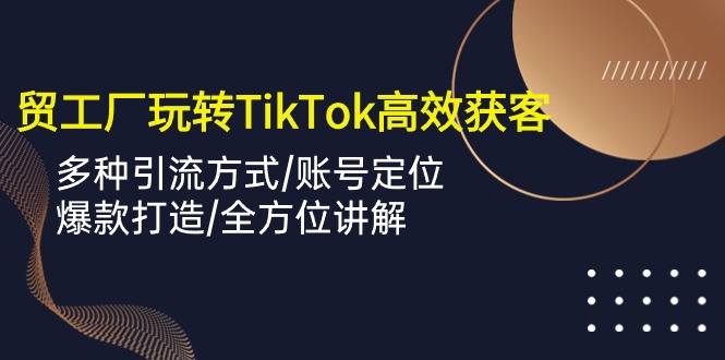 外贸工厂玩转TikTok高效获客，多种引流方式/账号定位/爆款打造/全方位讲解-创业项目网