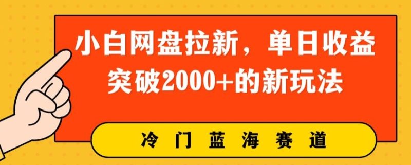 小白网盘拉新,单日收益突破2000+的新玩法-创业项目网