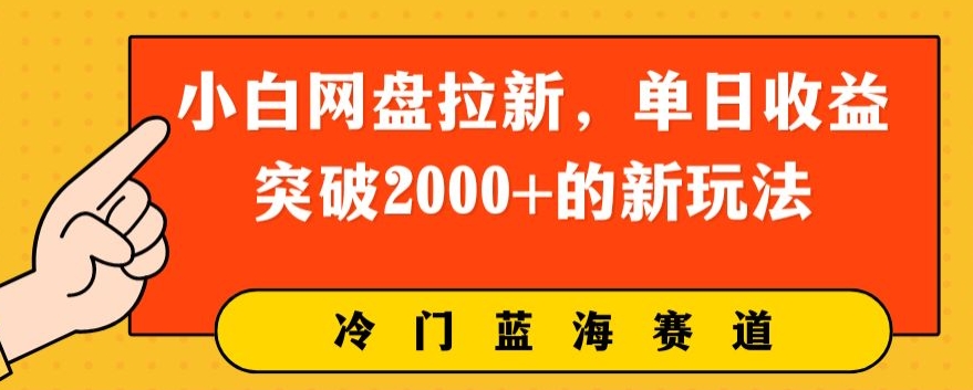 小白网盘拉新，单日收益突破2000+的新玩法-创业项目网