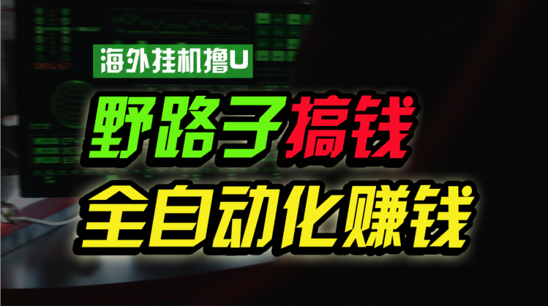 海外挂机撸U新平台,日赚8-15美元,全程无人值守,可批量放大操作-创业项目网