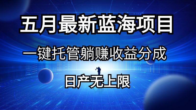 五月刚出最新蓝海项目一键托管 躺赚收益分成 日产无上限-创业项目网