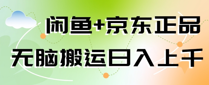 闲鱼+京东正品，无脑搬运赚差价，非常适合新手-创业项目网