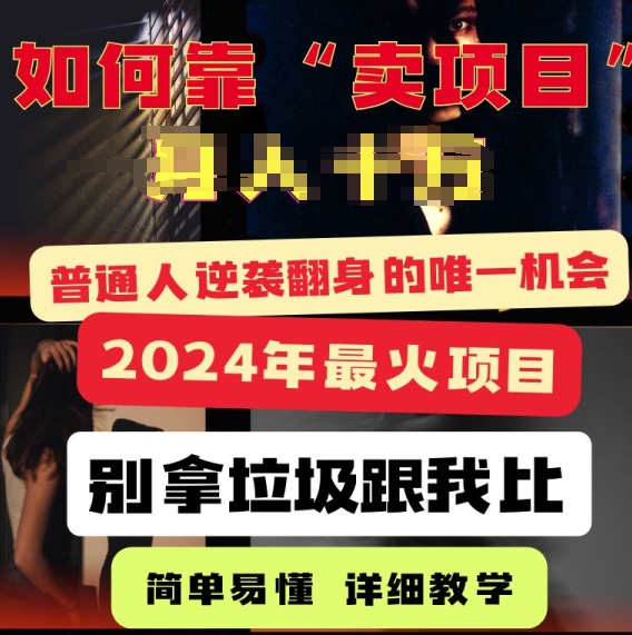 2024年最火项目，如何靠“卖项目”逆装翻身，简单易懂 详细教学 完整版5节课-创业项目网