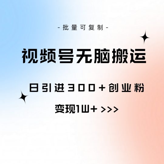 视频号无脑搬运日引300+创业粉,变现1W+可批量复制-创业项目网