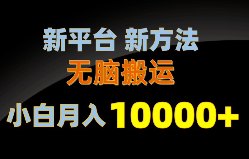 新平台新方法,无脑搬运,月赚10000+,小白轻松上手不动脑-创业项目网