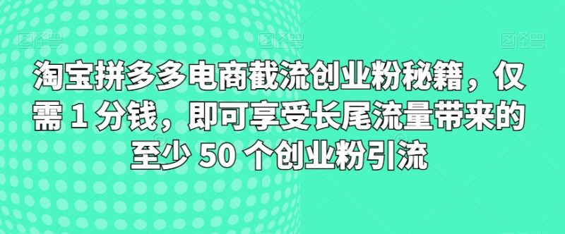 淘宝拼多多电商截流创业粉秘籍,仅需 1 分钱,即可享受长尾流量带来的至少 50 个创业粉引流-创业项目网