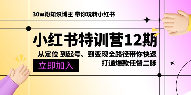 小红书特训营12期：从定位 到起号、到变现全路径带你快速打通爆款任督二脉-创业项目网