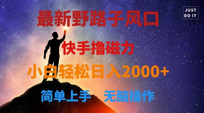 最新风口!快手撸磁力,野路子,小白无脑操作日入2000+-创业项目网