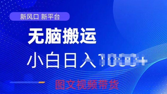 京东视频图文搬运带货项目，蓝海赛道小白轻松上手，每天一小时轻松获取收益-创业项目网