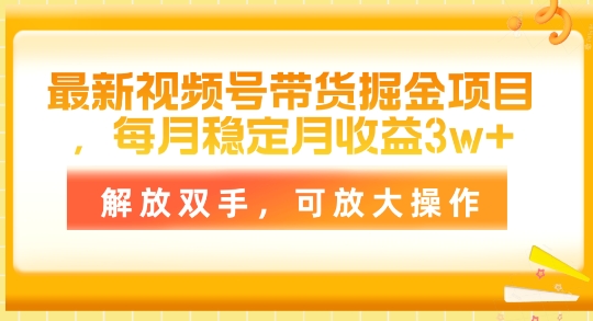 最新视频号带货掘金项目，每月稳定月收益1w+，解放双手，可放大操作-创业项目网