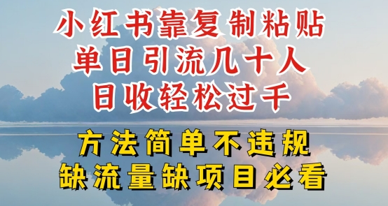 小红书靠复制粘贴单日引流几十人目收轻松过千，方法简单不违规-创业项目网